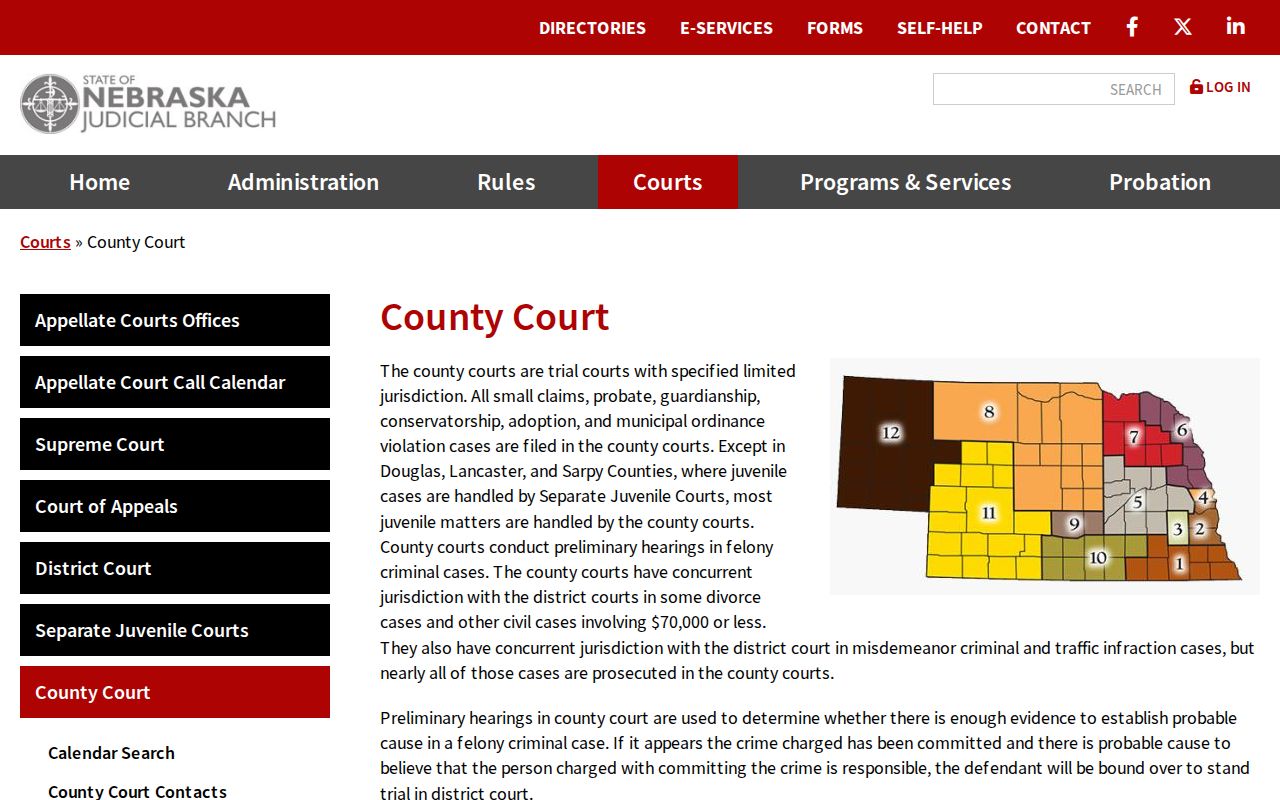 Wayne County bench warrant records Nebraska court forms